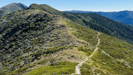 THE TAROT READER, SPONTANEITY (OR STUPIDITY) & THE SECOND HIGHEST MOUNTAIN IN VICTORIA!