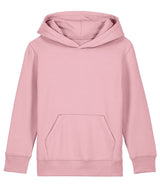 Mini Skier Hoodie